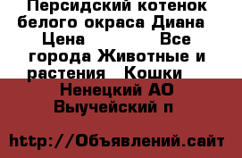 Персидский котенок белого окраса Диана › Цена ­ 40 000 - Все города Животные и растения » Кошки   . Ненецкий АО,Выучейский п.